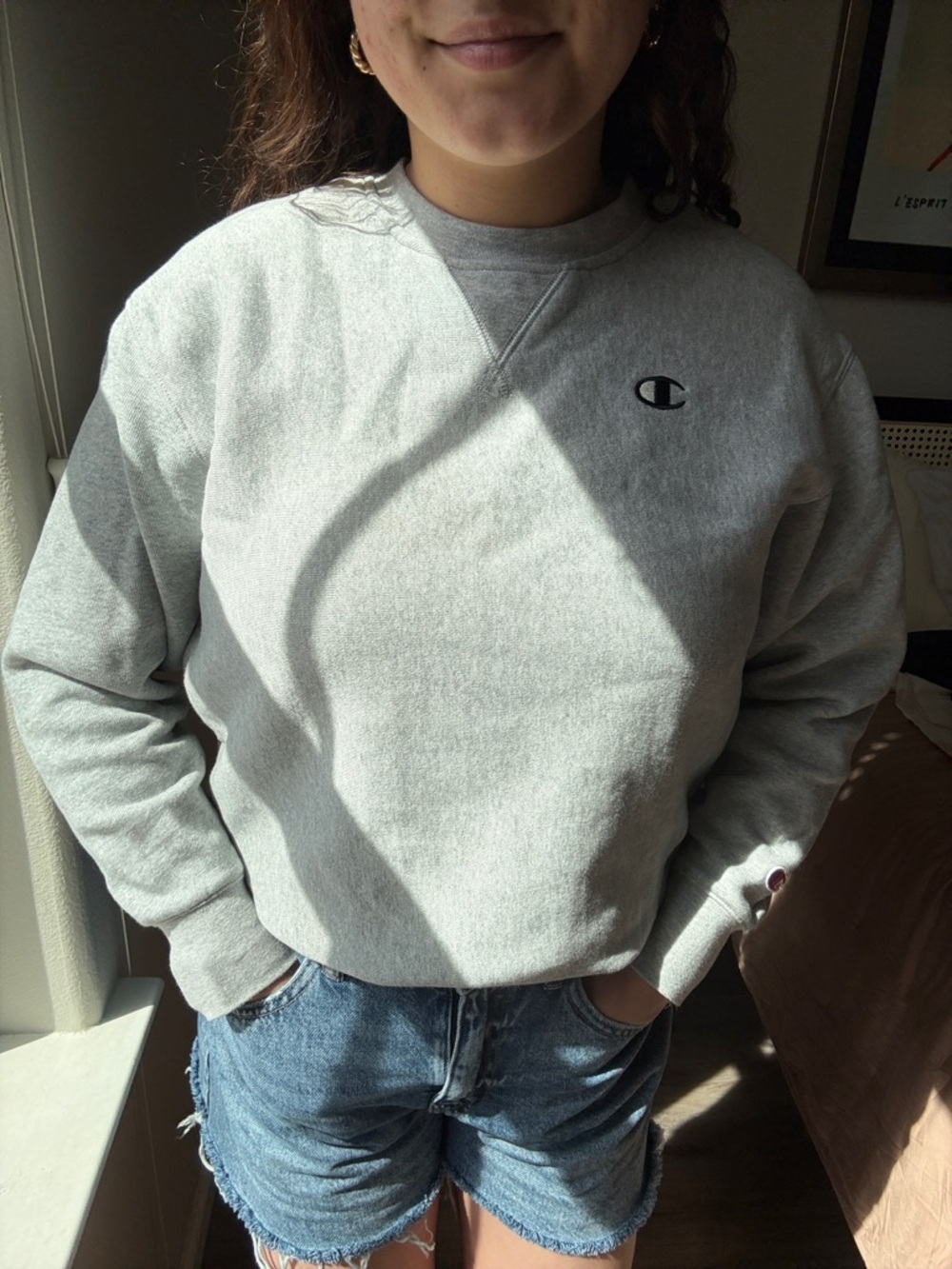 Champion Reverse Weave Crewneck Sweatshirt | Heather Gray | Size M - Picture 3 of 9